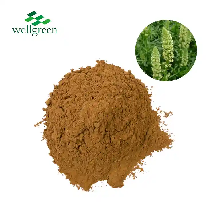 Melilotus Officinalis Extract